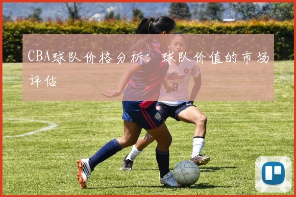 CBA球队价格分析:球队价值的市场评估