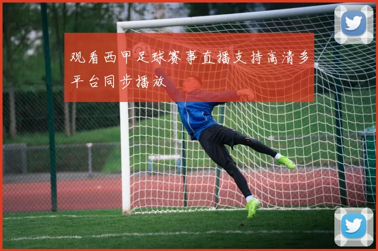 观看西甲足球赛事直播支持高清多平台同步播放