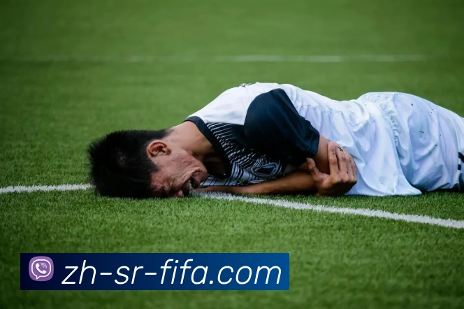 世界杯赛程平台生态图