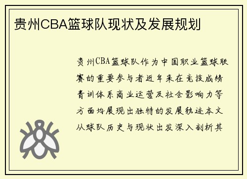 贵州CBA篮球队现状及发展规划